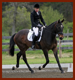 dressage horse farms in Vermont